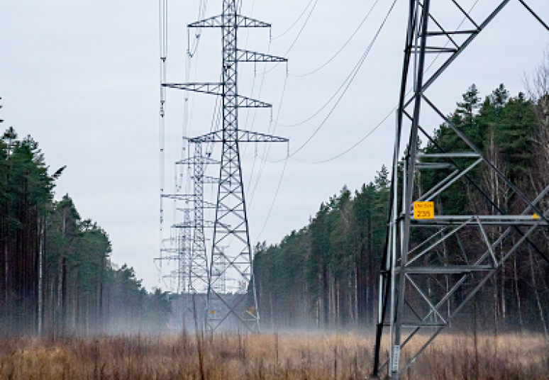 Nepriklausomų tiekėjų siūlomų tarifų vidutinės kainos sumažėjo