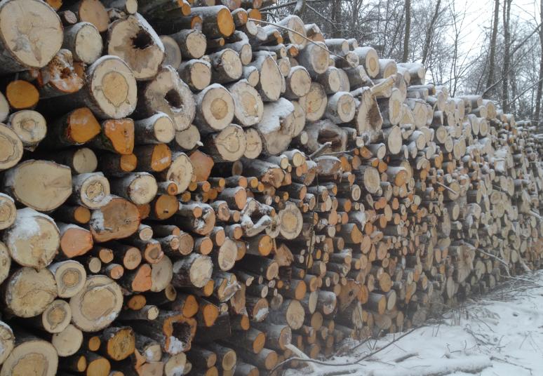 Dvidešimt penkių šilumos tiekėjų šilumos energijos kainos šį gruodį mažesnės nei pernai